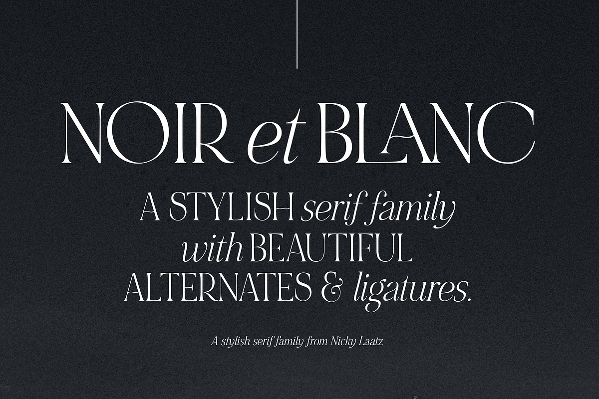 NOIR et BLANC Stylish Serif, a Serif Font by Nicky Laatz (Photo 1 of 41)