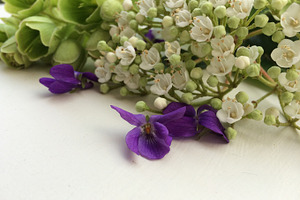 Styled stock photo  spring flowers stock photo containing styled stock and