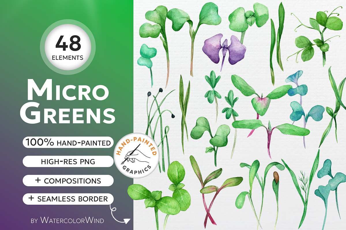 Microgreens sprouted seeds clipart, a Food Illustration by Ksenia Shmakova (Photo 1 of 8)