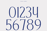CS Agnella – Elegant Serif Font, a Serif Font by Craft Supply Co. (Thumbnail 4 of 8)