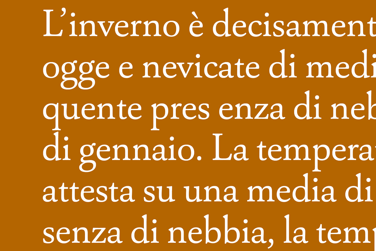 Capricho, a Serif Font by Hoftype (Photo 11 of 14)