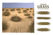 Dynamic Desert Grass Brushes, a Brush Add-On by Mohamed Saber (Thumbnail 2 of 6)