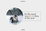 TAN - GARLAND, a Serif Font by TanType (Thumbnail 13 of 16)