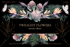 Twilight Flowers