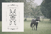 100 Coquette Lines Collection, an Object Graphic by Feelsoul (Thumbnail 8 of 10)