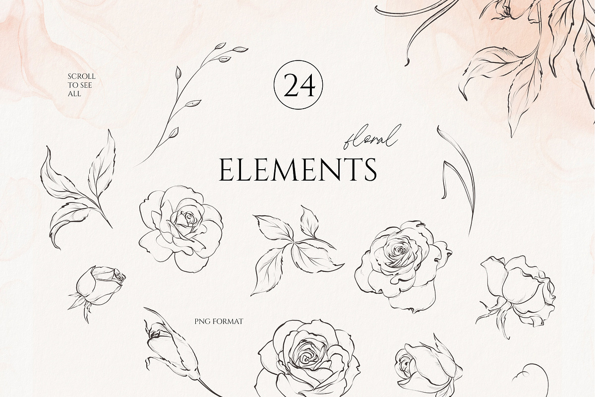 ROSE line art floral collection, a Decorative Illustration by Yuliia Lashevska (Photo 10 of 10)