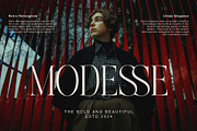 Avelire-modern ligature, a Serif Font by ToniStudio (Thumbnail 6 of 11)