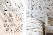 FOREST BIRDS sketches collection, an Animal Illustration by Yuliia Lashevska (Thumbnail 6 of 10)
