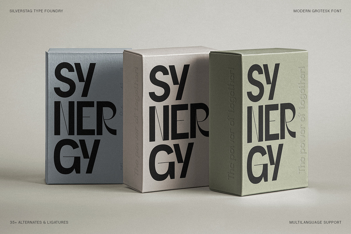 SLTF Refugio - Modern Grotesk Font, a Sans Serif Font by SilverStag Type Foundry (Photo 17 of 30)