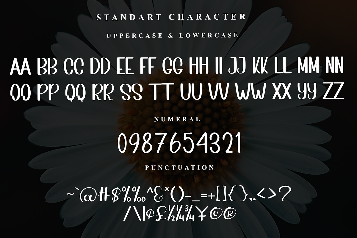 Black Lens, a Sans Serif Font by InermediaSTUDIO (Photo 3 of 7)