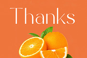 Sunveil Orange Modern Display Font, a Sans Serif Font by timelesstype.co (Thumbnail 20 of 20)