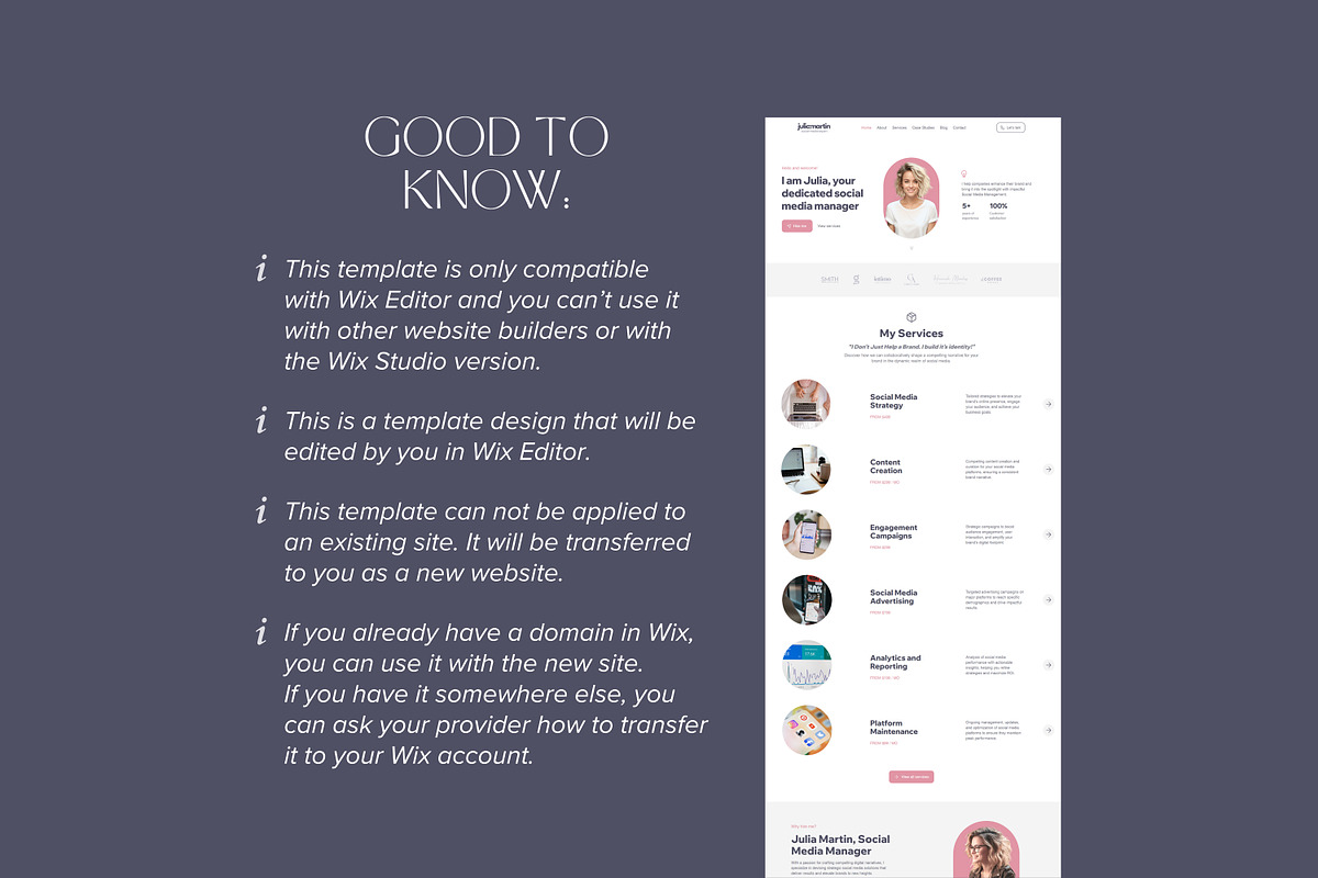 Wix Template Social Media Manager, a Wix Template by vectorocean (Photo 11 of 11)