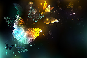 Luminous Butterfly