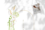 Watercolor Flower- AMARANTHUS, a Decorative Illustration by Beigetime (Thumbnail 9 of 15)