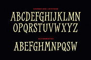 Cobweb Typeface, a Font by Tugcu Design Co. (Thumbnail 2 of 3)