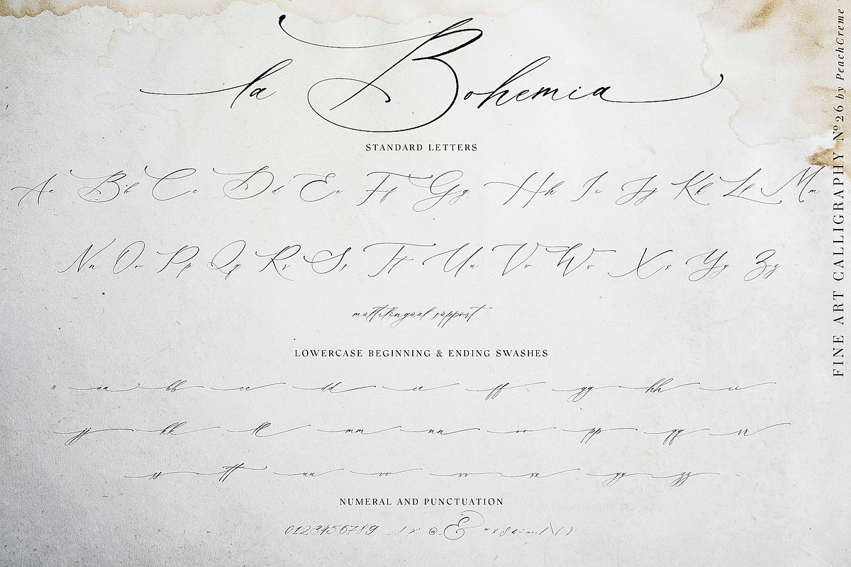 La Bohemia // Fine Art Calligraphy, a Script Font by PeachCreme (Photo 9 of 12)