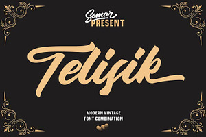 Telisik Script, a Script Font by Black Junst
