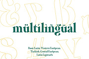 Agitan Display Font, a Serif Font by Areatype (Thumbnail 9 of 11)