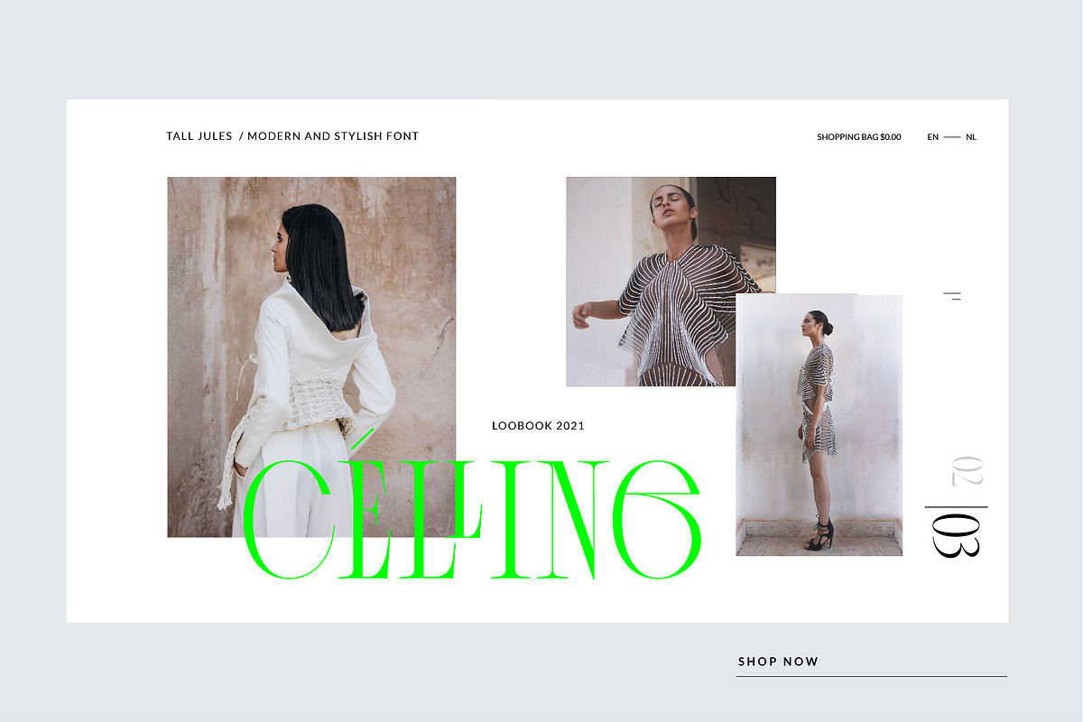 Tall Jules Modern and Stylish Font, a Serif Font by VladCristea (Photo 6 of 14)