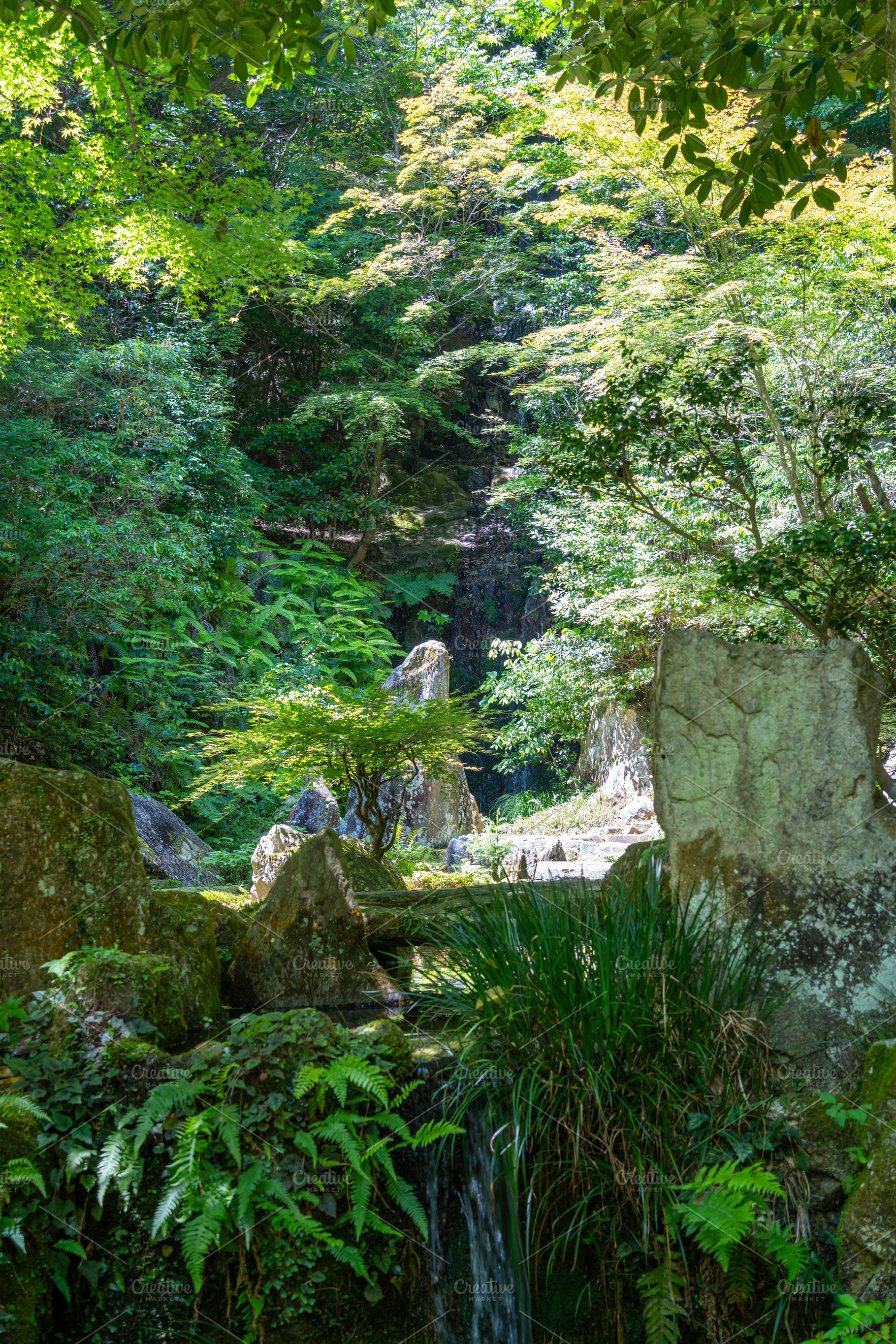 Lush forest scenery at Mitaki-Dera temple in Hiroshima, Japan, a Nature Photo by GoodGoods