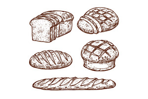 Vector Sketch Bread Icons Of Bakery Shop