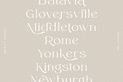 Beauty Swing, a Serif Font by din-studio.com (Thumbnail 6 of 10)