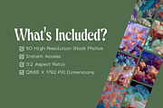 60 Coral Reef Stock Photos, a Nature Photo by Incomelion (Thumbnail 6 of 14)