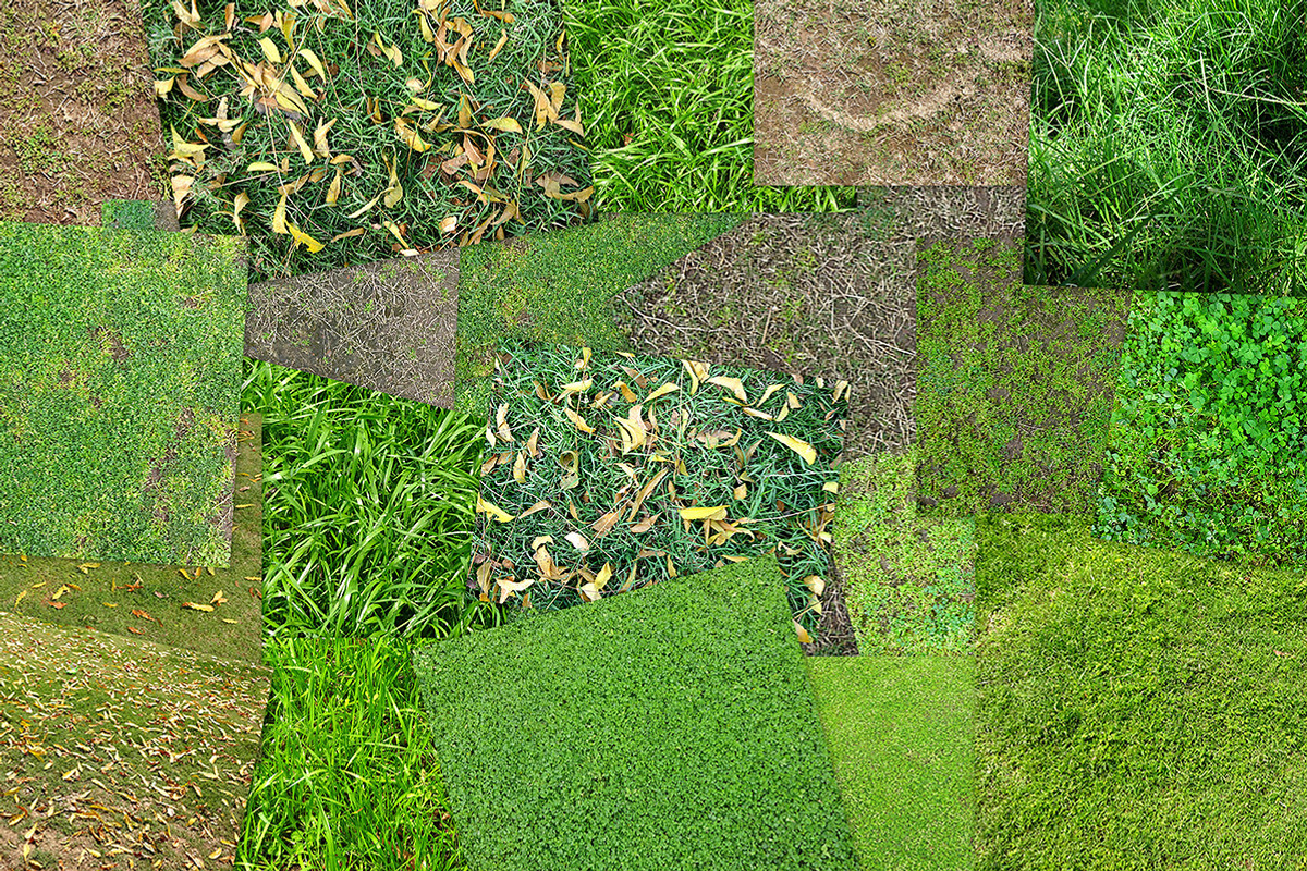 20 Grass Textures Background Pack preview 4