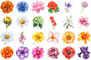 Watercolor Summer Flowers Clipart, an Illustration by Sublimation Artist (Thumbnail 2 of 6)
