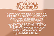 South Belgian - Retro Serif, a Serif Font by Mulkan Nazir (Thumbnail 14 of 14)