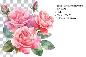 Pink Roses Watercolor Clipart. AI