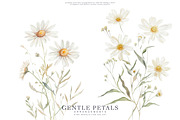 watercolor daisy clipart set, a Decorative Illustration by Patishop Art (Thumbnail 2 of 6)