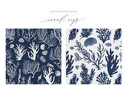 New! Summer + Fall Edition Bundle, a Seasonal Illustration by Isabelle Salem (Thumbnail 206 of 272)