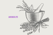 Herbs Bundle engravings, a Food Illustration by Irina Trusova (Thumbnail 5 of 9)