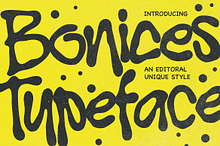 Bonices - Editorial Display Typeface