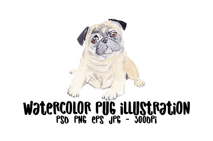 Watercolor Pug Dog Illustration