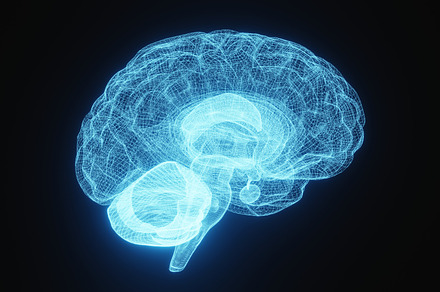 Glowing X-ray image of human brain in blue wireframe on isolated black backgrou, a Health & Medical Photo by Ministocker