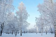 Cosy winter. Bundle of 14 images., a Background Photo by lisa870 (Thumbnail 6 of 17)