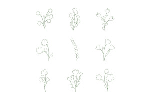 Various line art botanical flower, an Object Illustration by okskukuruza