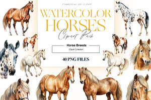 Horse Breeds Clipart, Appaloosa PNG, an Animal Illustration by BrushstrokeArtGB