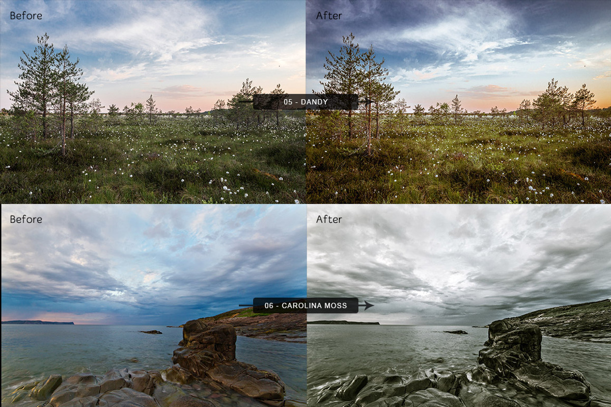 Landscapes Lightroom Presets Vol 1, a Preset Add-On by Design Panoply (Photo 3 of 5)