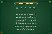 Brown Hunter Victorian Set, a Serif Font by alit design (Thumbnail 19 of 32)