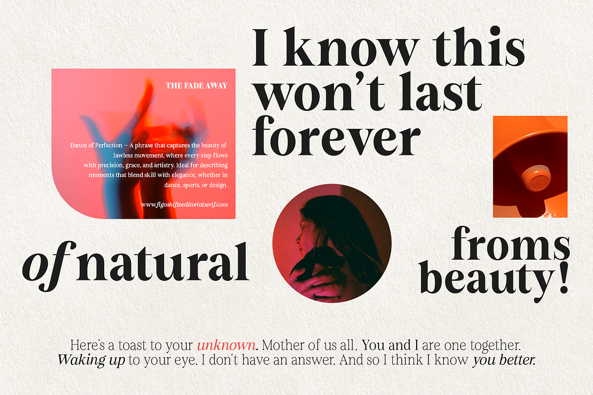 Figo Shiftz, a Serif Font by Propertype (Photo 11 of 13)