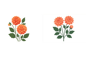 Vibrant dahlia flowers in shades of, a Nature Photo by ZinetroN