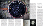 Magazine Template, a Magazine Template by Cristian Villegas Studio (Thumbnail 4 of 14)