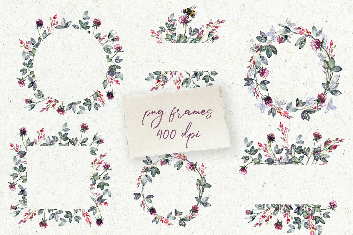 Watercolor set flowers of clover, an Illustration by RushkinaAntonina (Photo 7 of 7)