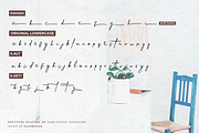 Darlington Signature, a Script Font by Glyphstyle (Thumbnail 6 of 11)