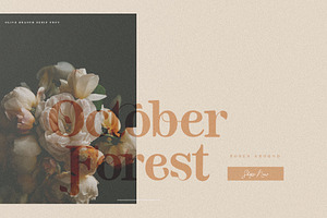 Olive Branch Serif Font