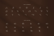 Hident Elegant Serif Display Font, a Serif Font by Graphicxell (Thumbnail 8 of 8)