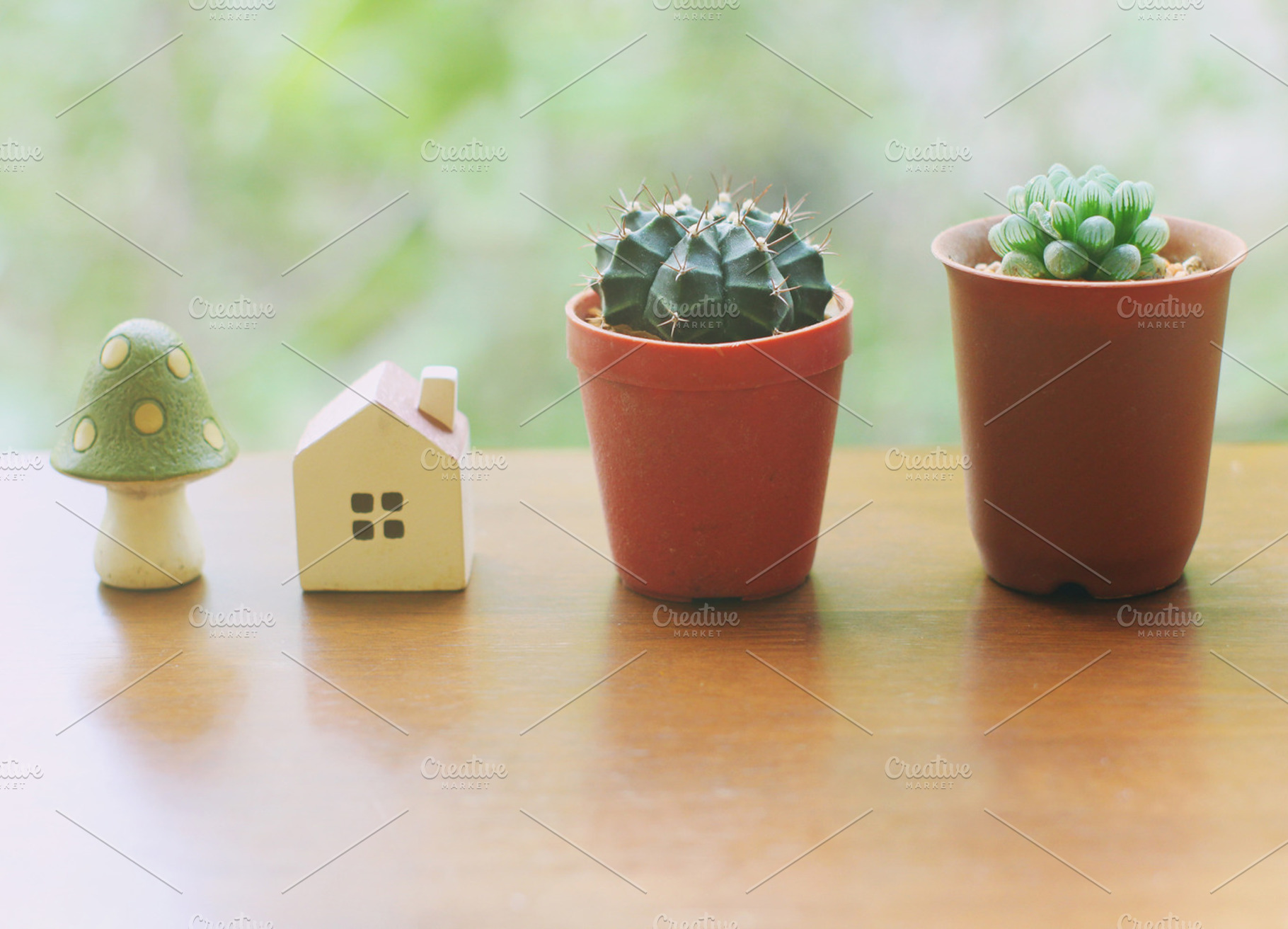 Cactus With Small House And Mushroom